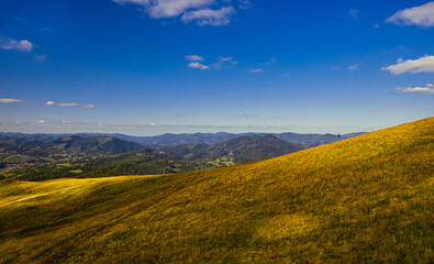 Obraz premium Carpathian landscape
