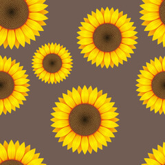 Sunflower seamless pattern vector design illustration
