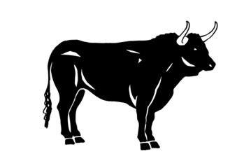Vector ox isolated on white, black figure graphical illustration