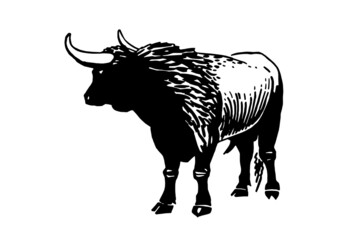 Vector ox isolated on white, black figure graphical illustration