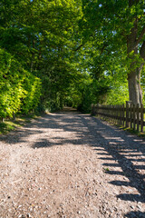 Beautiful Empty Path in the Park