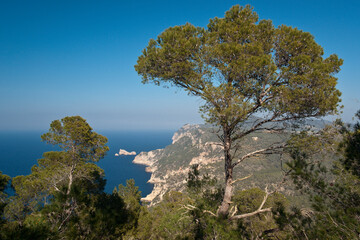 Costa de Es Amunts.Ibiza.Balearic islands.Spain.