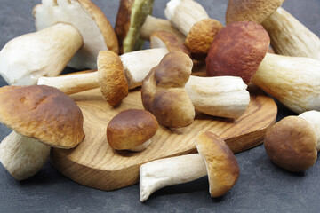 Boletus mushrooms prepared for cooking. Boletus on a black background. Boletus edulis. Closeup