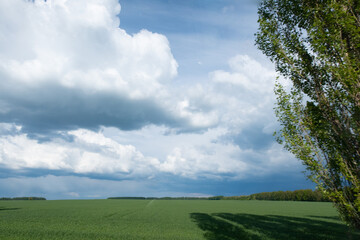 Fototapeta na wymiar Beautiful storm clouds over a green field.