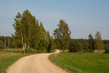 Road, grass fields and trees landscape.