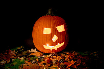 illuminated jack o'lantern pumpkin with a many autumn leaves and pine cones on a black background