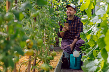 Farmer with mobile phone and watering can sitting in greenhouse at tomato plants