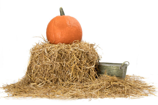 Hay Bales On White Images Browse 10 808 Stock Photos Vectors And Video Adobe Stock Hay Bales On White Images Browse 10 808 Stock Photos Vectors And Video Adobe Stock