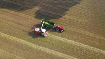 Landwirtschaft: Feldh&auml;cksler, Traktor mit Ladewagen bei Ernte von Gras f&uuml;r Grassilage auf einer gem&auml;hten Wiese, Vogelperspektive