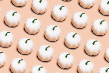White Pumpkins as pattern. Autumn concept