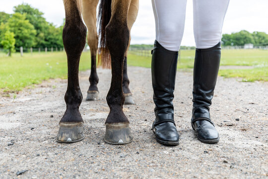 Low section of woman with horse standing on way