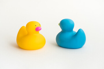 Toy yellow and blue rubber duck isolated on white background. Opposition symbol, political struggle and anti-racism concept