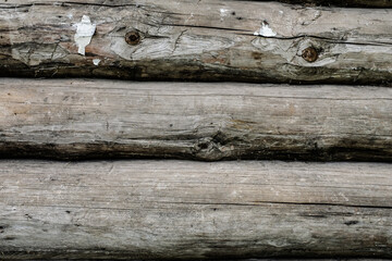 Wooden wall made from big natural logs