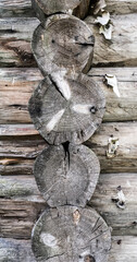 Wooden wall made from big natural logs.