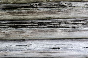 Wooden wall made from big natural logs.