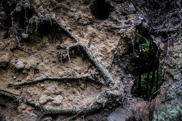Savage wall from soil, roots, wood and dirt with small window made by nature