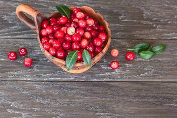 ripe cranberries close-up. cranberry berries in a ceramic bowl on the table close-up. background with ripe cranberry berries and green leaves.