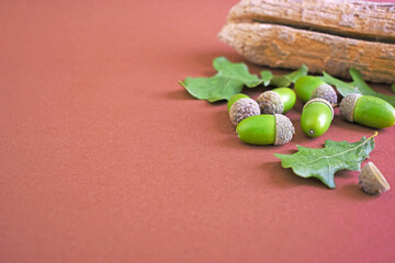 Oak leaves and green acorns on brown background. Copy space. Autumn season concept.
