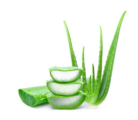 Fresh Aloe vera sliced with plant and water droplets isolated on white background.