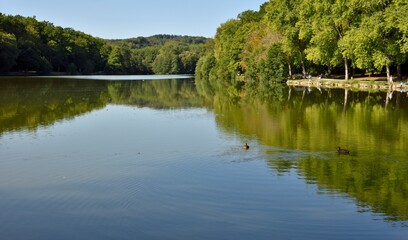 Fototapeta na wymiar Le lac supérieur des lacs de la Folie (Vosges)