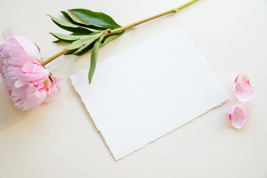 Wedding invitation mockup with peonies, wedding invitation template , wedding invitation mockup with petals, jpg, photo