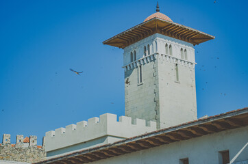 Castle tower with birds and blue sky 