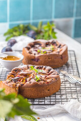 close-up view of delicious sweet fruit pies with organic plums