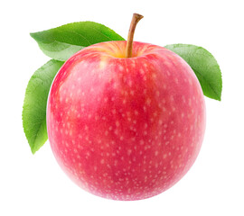 One pink apple with long stem and leaves isolated on white background