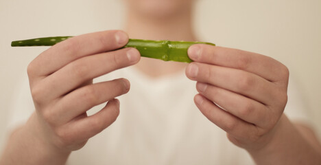 Person holds aloe vera leaf in hands. white background. Green leaf in focus. She makes healthy facial mask with aloe vera extract. Healthy lifestyle. Nature products for beauty. Eco concept