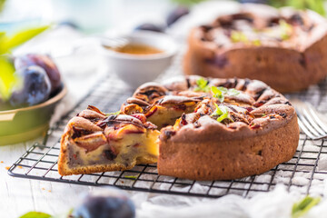 close-up view of delicious sweet fruit pies with organic plums