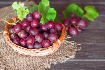 pink grapes in a wicker basket. background with a bunch of pink grapes and a vine. grapes close-up.