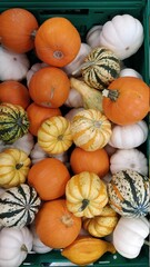 Colorful tiny pumpkins and gourds
