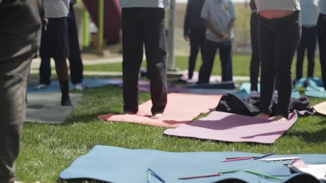 Group of Young Elementary Students Do Yoga Together on Grass