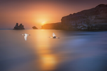 Torre dell'Orso