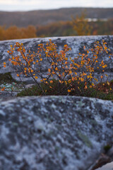autumn in the mountains
