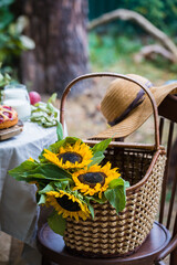 Fototapeta na wymiar Sunflowers, Helianthus annuus, in the basket on the chair