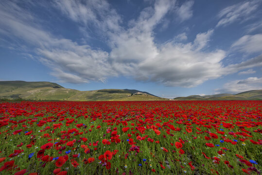 Castelluccio of norcia