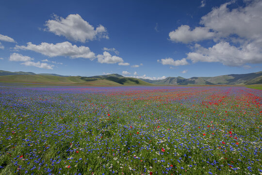 Castelluccio of norcia