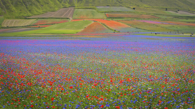 Castelluccio of norcia
