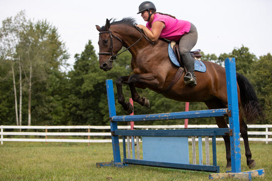 Woman And Horse Jumping A Fence.