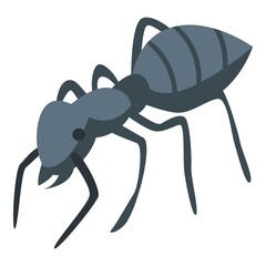 Forest ant icon. Isometric of forest ant vector icon for web design isolated on white background