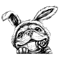 A bulldog puppy. Wall sticker. A hand-drawn, graphic portrait of a cute puppy with Bunny ears and a Lollipop.