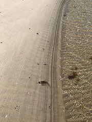 Wattenmeer