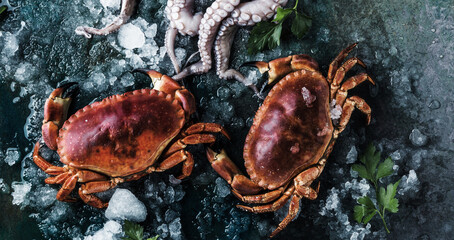 close-up view of gourmet crabs and oysters with ice on grey surface 
