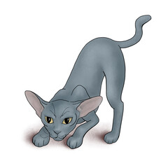 Cat color illustration. Gray pink and yellow. Cartoon style. Can be used for prints, presentations or illustrations
