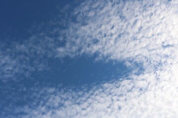 Fototapeta premium 秋の風景青い空と白い雲