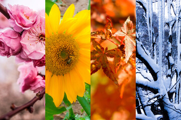 春夏秋冬のコラージュ背景画像