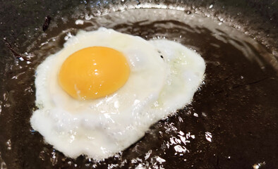 fried egg