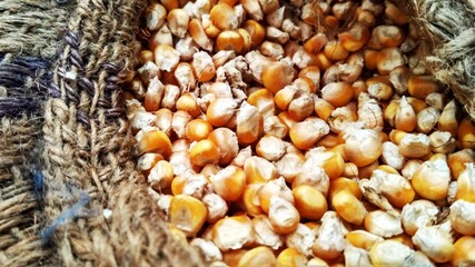 close up of dried corn