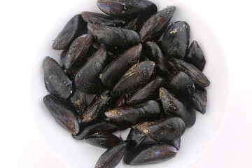raw fresh mussels as sea food